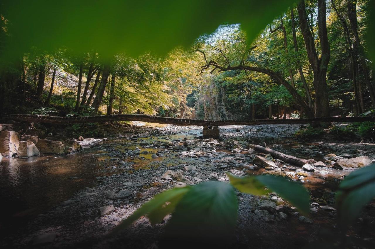 Villa Domecek Na Kvetinovem Statku Zdice Esterno foto
