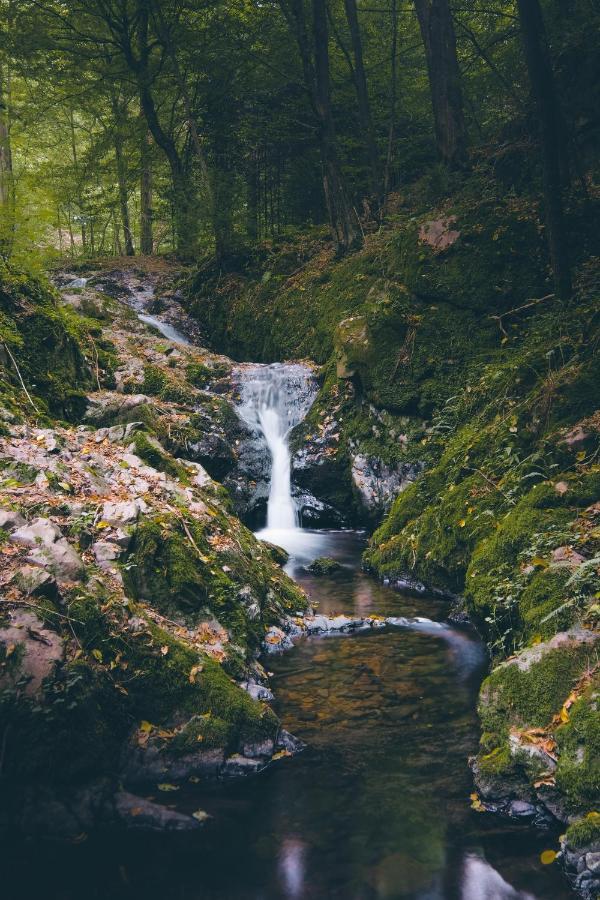 Villa Domecek Na Kvetinovem Statku Zdice Esterno foto